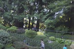 resIMG_20170709_204332_8182.JPG